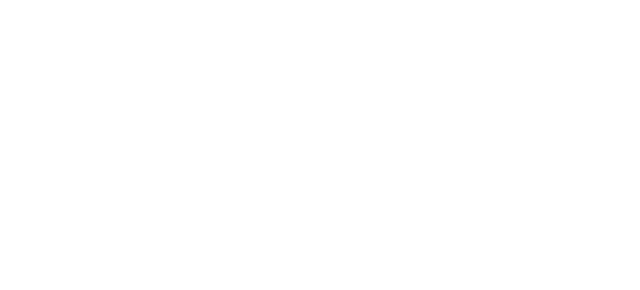 Southmere Executive Travel
